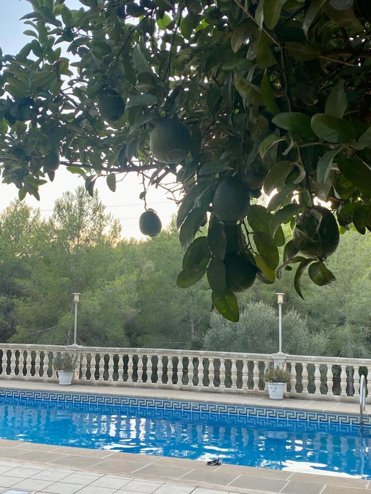 La Casa Dels Boscos Villa Tarragona Ngoại thất bức ảnh